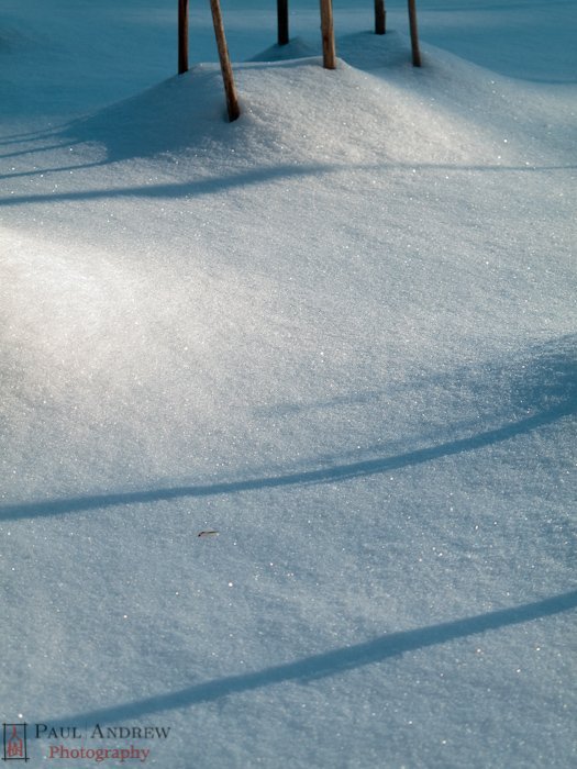 Winter shadows on snow, Acadia National Park