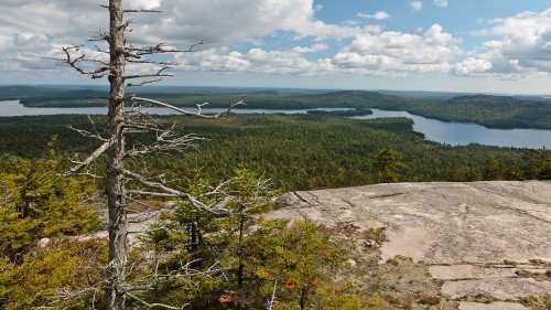 Tunk Lake from Black Mountain