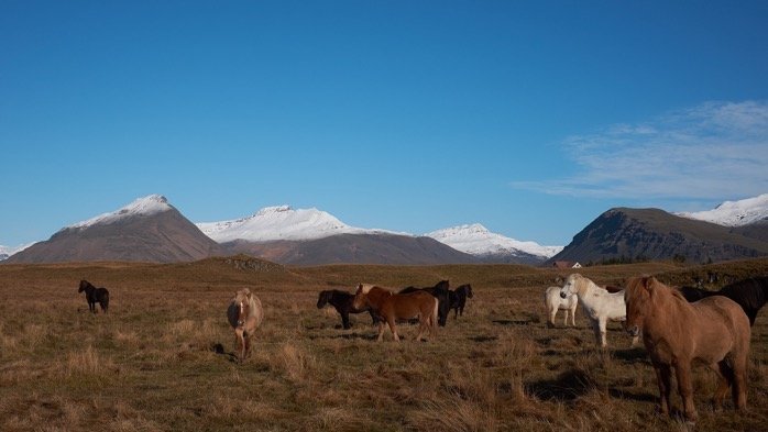 Iceland 2018 image 0 22