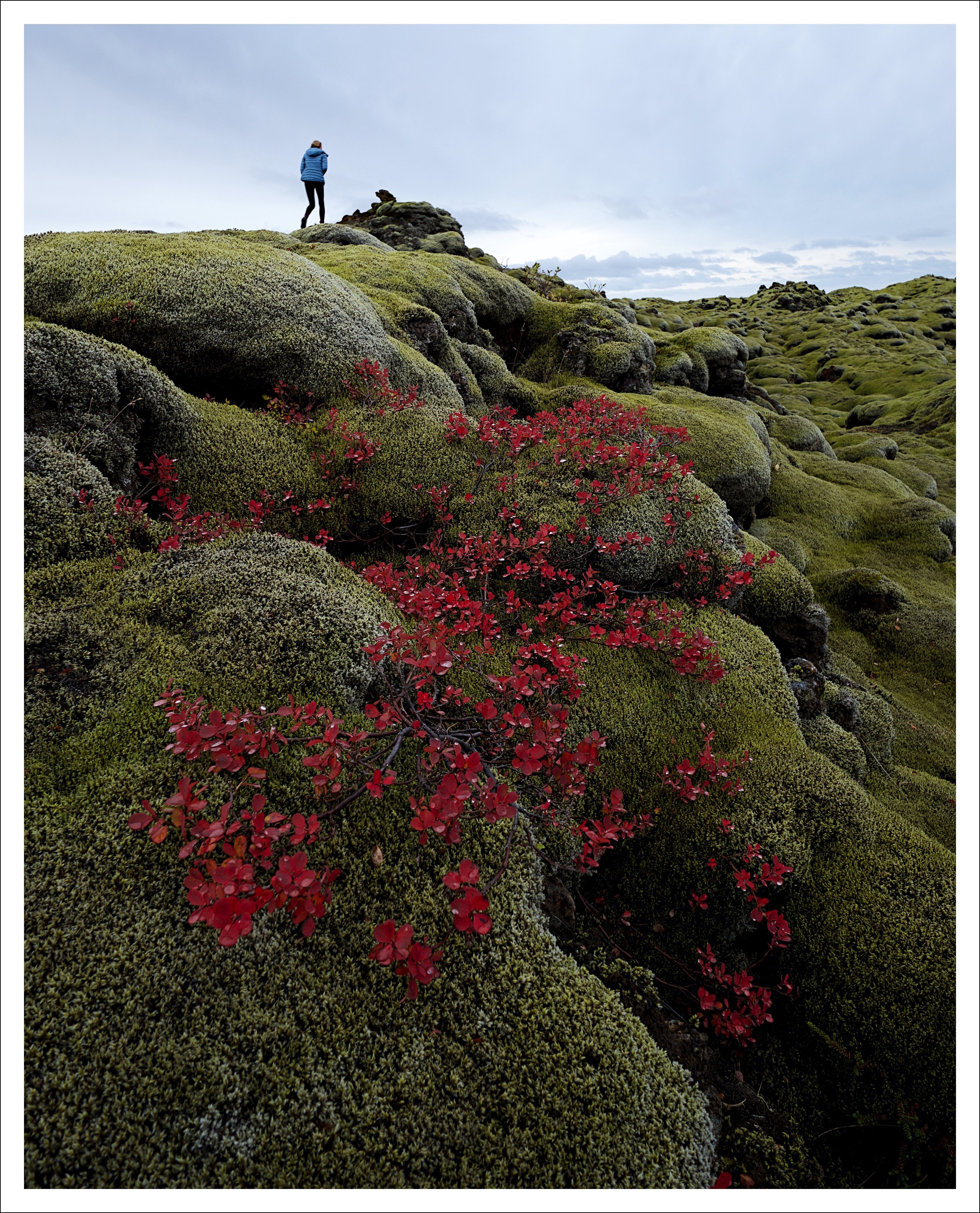 IcelandMoorFrame